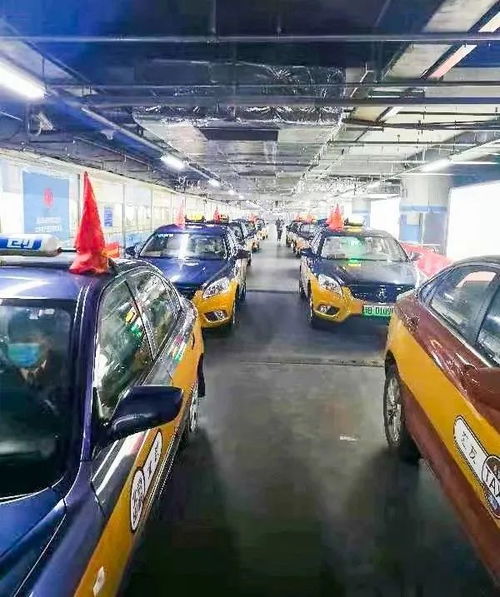2021“原年人”的春運堅守 北京出租汽車和汽車租賃行業紀實